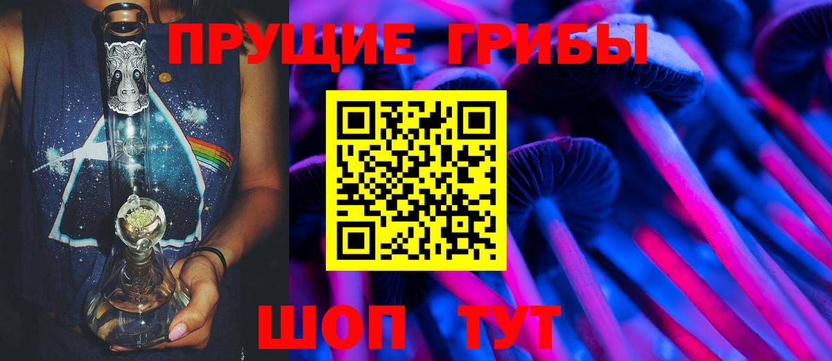 Псилоцибиновые грибы мицелий Рузаевка